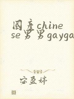 国产chinese男男gaygay网站