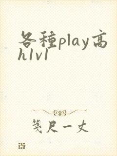 各种play高h1v1