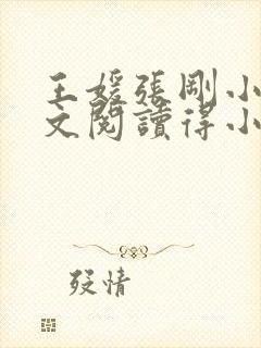 王媛张刚小说全文阅读得小说名字封面