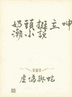 奶头挺立呻吟高潮小说