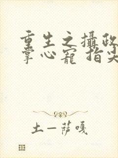 重生之摄政王的掌心宠 指尖方寸