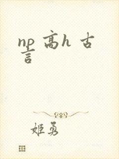 np 高h 古言