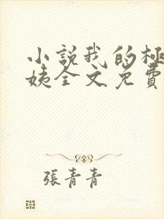 小说我的极品小姨全文免费阅读