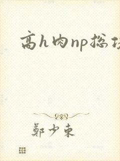 高h肉np总攻封面