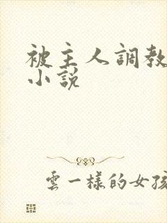 被主人调教sm小说