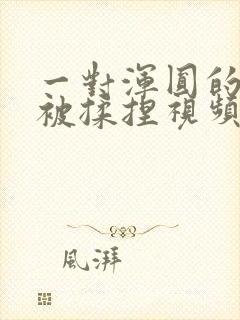 一对浑圆的胸乳被揉捏视频