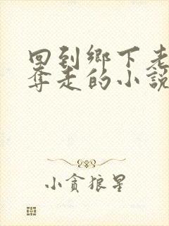 回到乡下老婆被夺走的小说