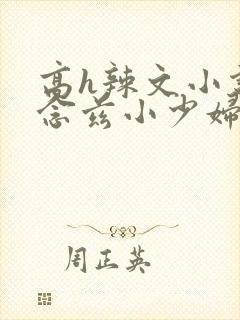 高h辣文小说网念兹小少妇