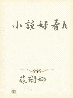 小说好看h