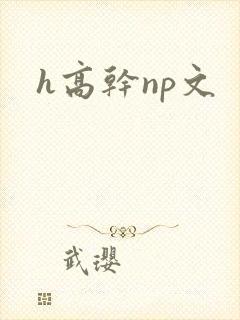h高干np文