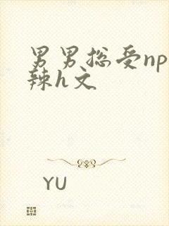 男男总受np高辣h文