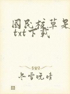 国民校草是女生 txt下载