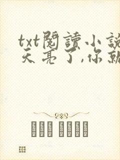 txt阅读小说天亮了,你就回来了封面