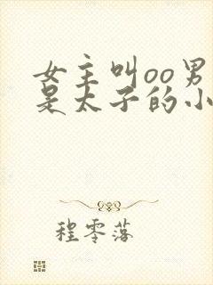 女主叫oo男主是太子的小说