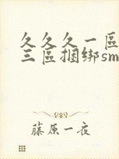 久久久一区二区三区捆绑sm调教封面