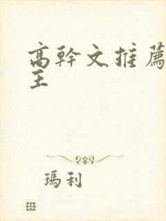 高干文推荐双男主