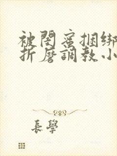 被闺蜜捆绑震蛋折磨调教小说