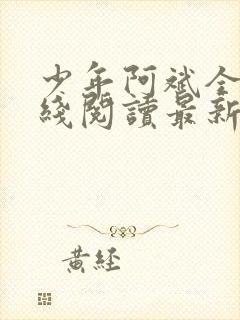 少年阿斌全文在线阅读最新章节免费阅读封面