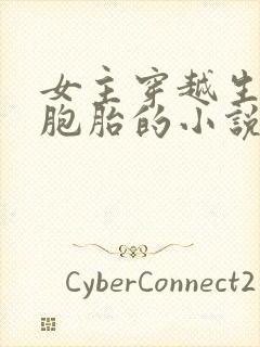 女主穿越生了三胞胎的小说