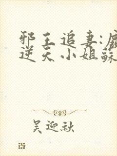 邪王追妻:废材逆天小姐苏落南宫流云