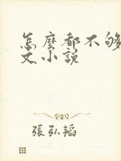 怎么都不够她全文小说