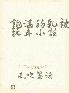 饱满的乳被揉捏玩弄小说