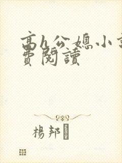 高h公媳小说免费阅读