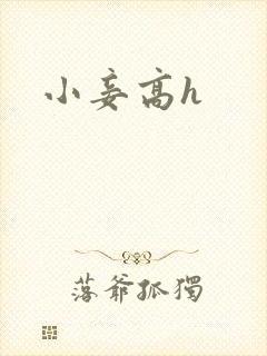 小妾高h