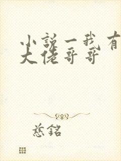 小说一我有七个大佬哥哥封面