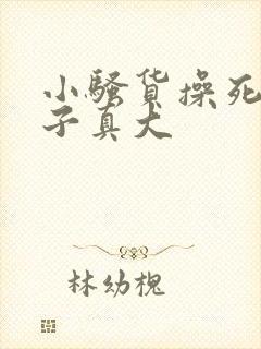 小骚货操死你奶子真大