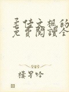 柔佳文枫的小说免费阅读全文