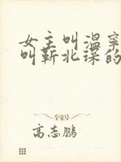 女主叫温宁男主叫靳北琛的小说