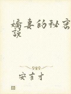 娇妻的秘密 小说