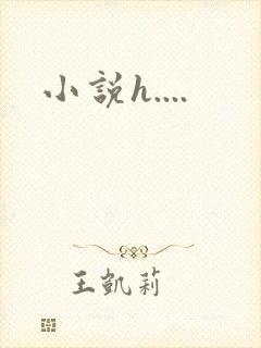 小说h....