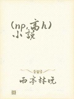 (np,高h)小说