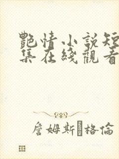艳情小说短篇合集在线观看封面