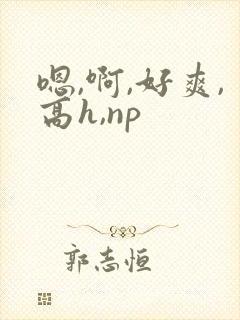 嗯,啊,好爽,高h,np