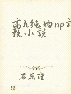 高h纯肉np调教小说