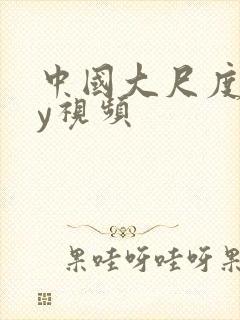 中国大尺度gay视频