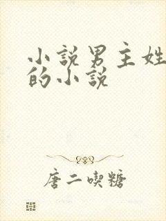 小说男主姓欧阳的小说封面