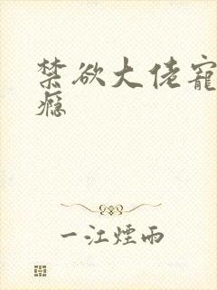 禁欲大佬宠妻上瘾