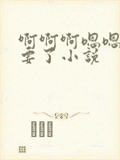 啊啊啊嗯嗯嗯不要了小说