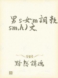 男s女m调教(sm,h)文封面