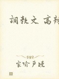调教文 高辣
