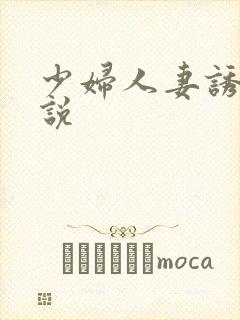 少妇人妻诱惑小说封面