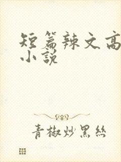 短篇辣文高h文小说