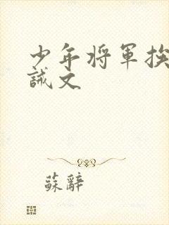 少年将军挨打训诫文封面