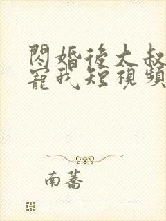 闪婚后大叔每天宠我短视频