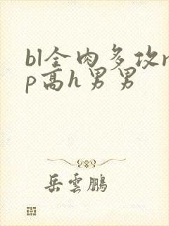 bl全肉多攻np高h男男封面