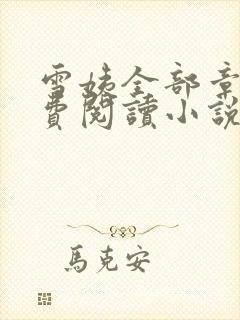 雪姨全部章节免费阅读小说封面